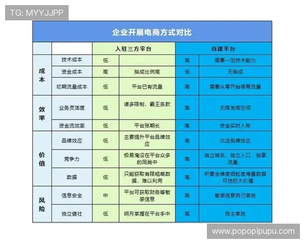 全面解析365电子平台的功能特点及其在电商行业中的应用优势