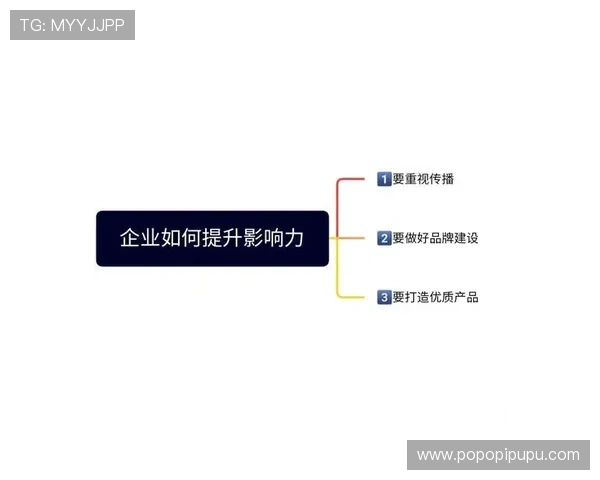 利用PA官方网站提升企业品牌影响力的实用策略