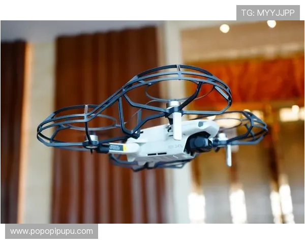 凯发网投娱乐平台操作简便，新手也能轻松上手体验