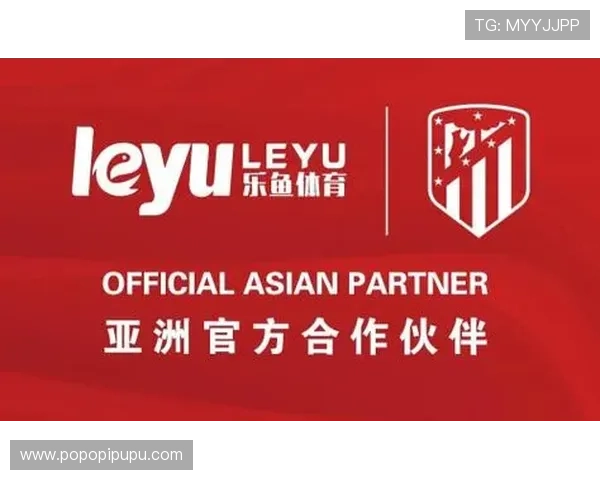 乐鱼体育真人平台如何实现公平公正的比赛环境保障用户权益的详细措施